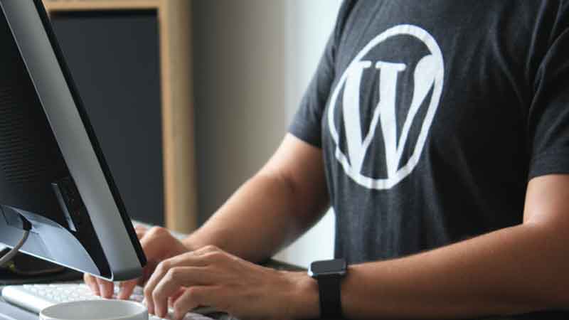 WordPress 6.2 Release Hits Pause – A Bug’s Tale and the Race for a Seamless Solution